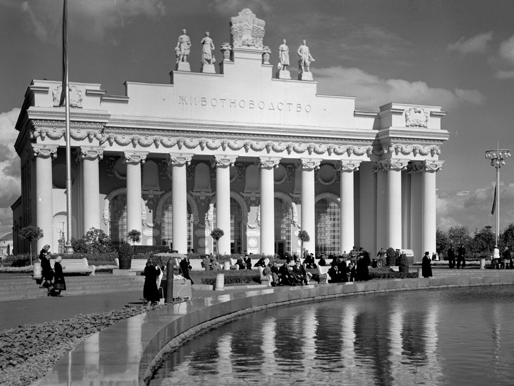 Фото из открытых источников